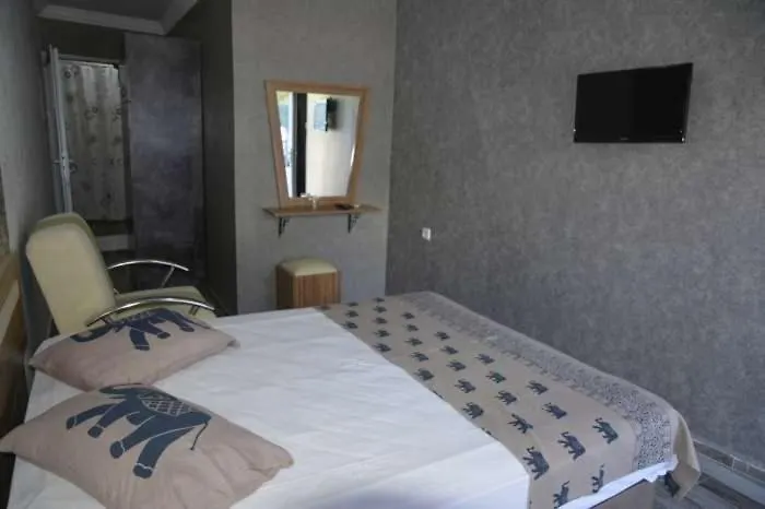 Ege Apart & Hotel Ayvalik Guest house